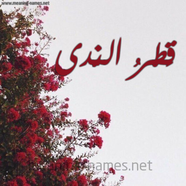 شكل 18 صوره الورد الأحمر للإسم بخط رقعة صورة اسم قَطْرُ النَّدى Qatro-Alnada